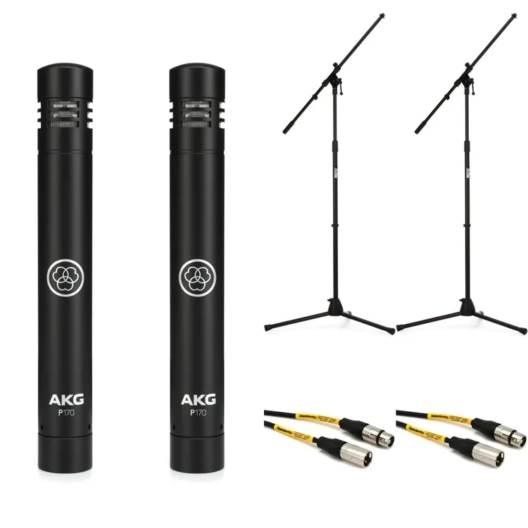 AKG Pro Audio P170 Condenser Microphones